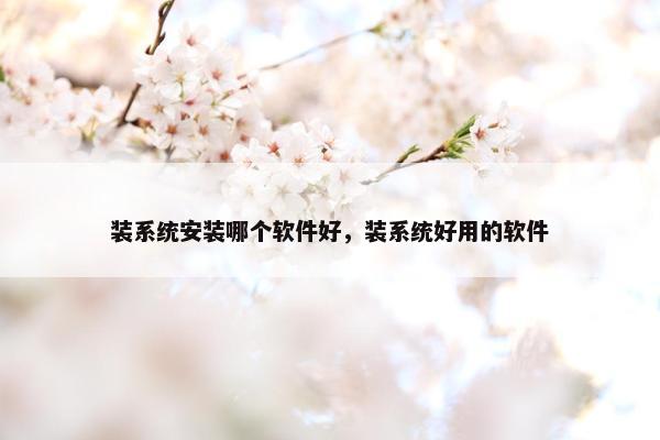 装系统安装哪个软件好，装系统好用的软件
