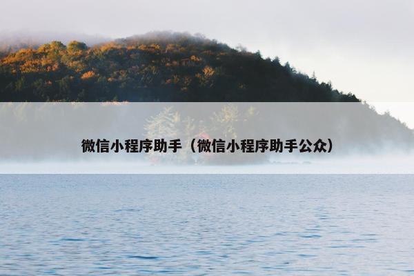 微信小程序助手（微信小程序助手公众）