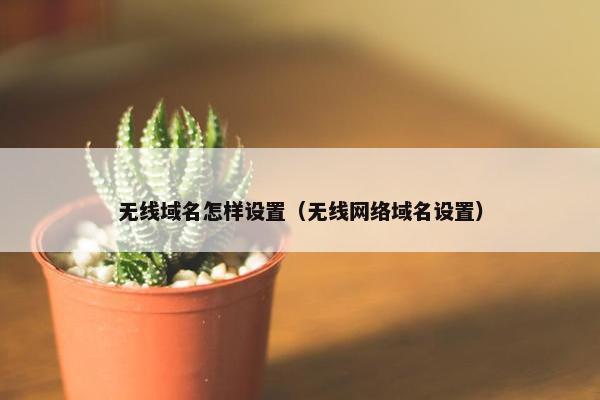 无线域名怎样设置（无线网络域名设置）