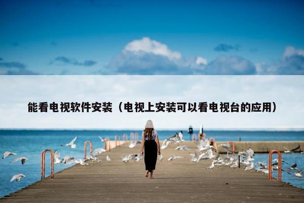 能看电视软件安装（电视上安装可以看电视台的应用）