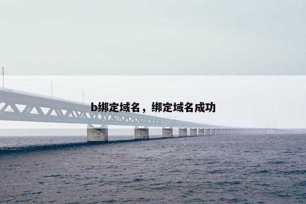 b绑定域名，绑定域名成功