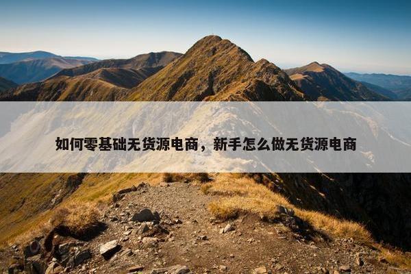 如何零基础无货源电商，新手怎么做无货源电商