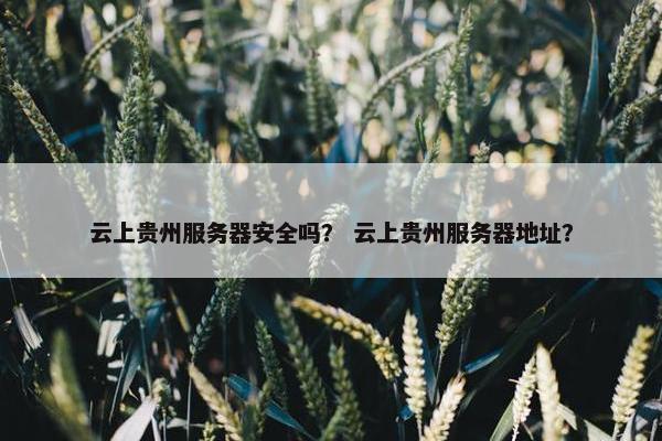 云上贵州服务器安全吗？ 云上贵州服务器地址？