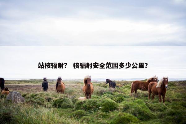站核辐射？ 核辐射安全范围多少公里？