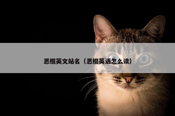 恶棍英文站名（恶棍英语怎么读）