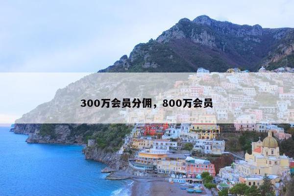 300万会员分佣，800万会员