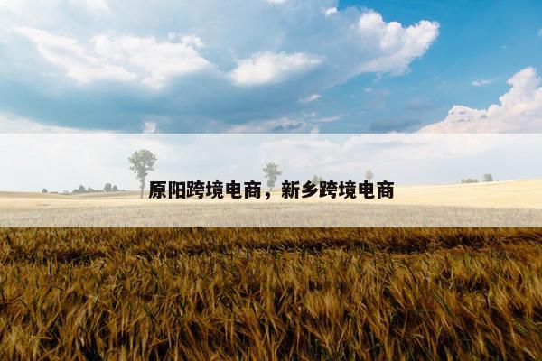 原阳跨境电商，新乡跨境电商