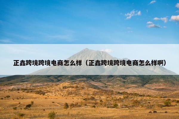 正鑫跨境跨境电商怎么样（正鑫跨境跨境电商怎么样啊）