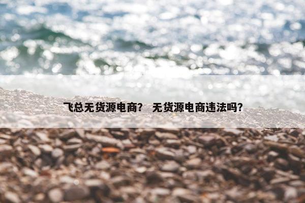 飞总无货源电商？ 无货源电商违法吗？
