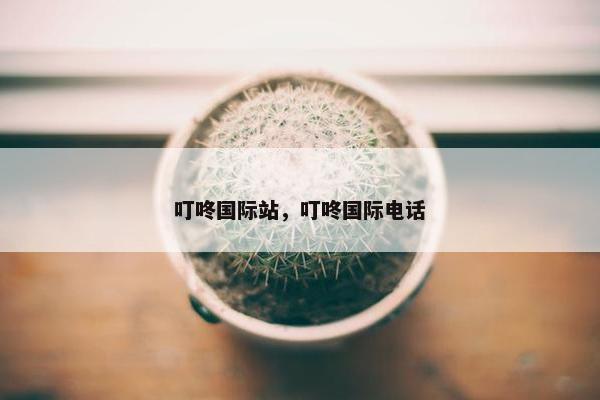 叮咚国际站，叮咚国际电话