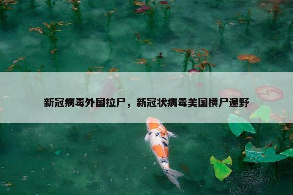 新冠病毒外国拉尸，新冠状病毒美国横尸遍野