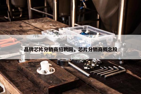 品牌芯片分销商招聘网，芯片分销商概念股