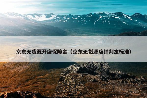 京东无货源开店保障金（京东无货源店铺判定标准）
