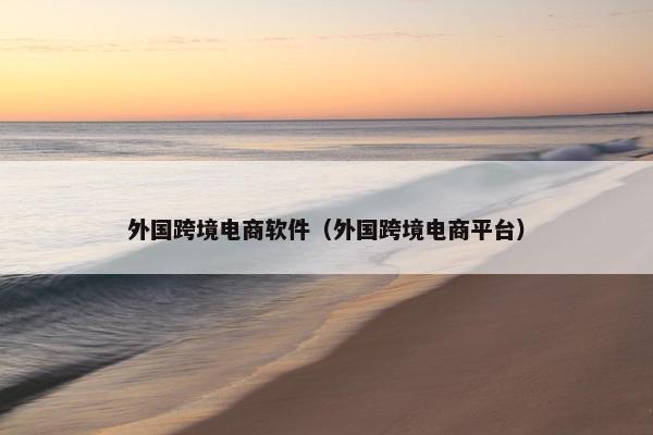 外国跨境电商软件（外国跨境电商平台）