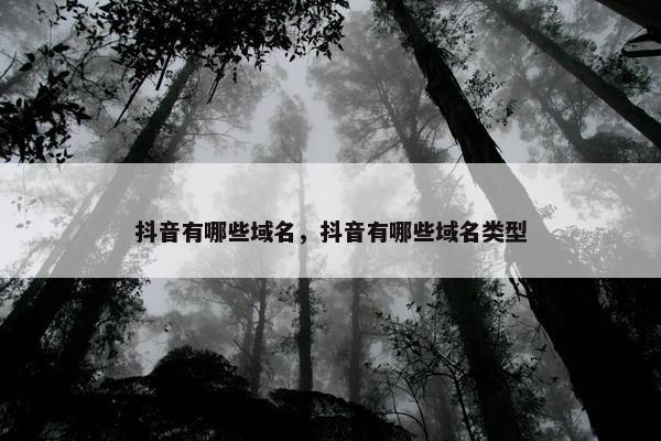 抖音有哪些域名，抖音有哪些域名类型