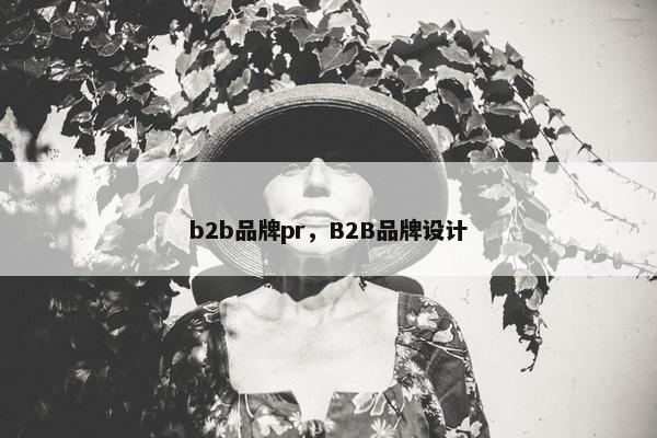b2b品牌pr，B2B品牌设计
