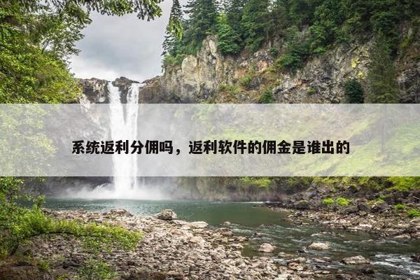 系统返利分佣吗，返利软件的佣金是谁出的