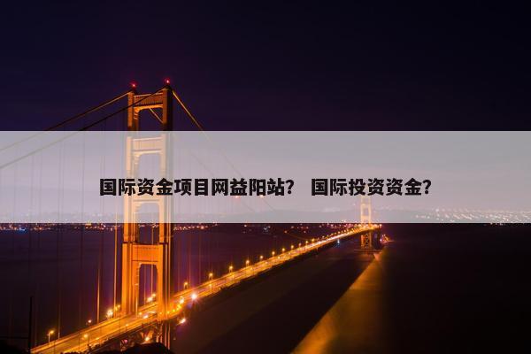 国际资金项目网益阳站？ 国际投资资金？