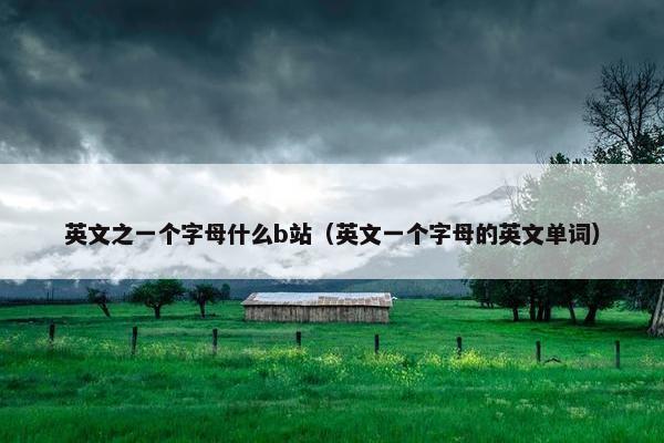 英文之一个字母什么b站（英文一个字母的英文单词）