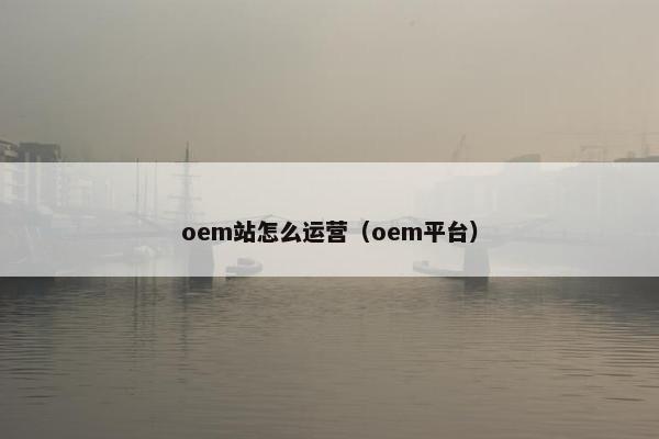 oem站怎么运营（oem平台）