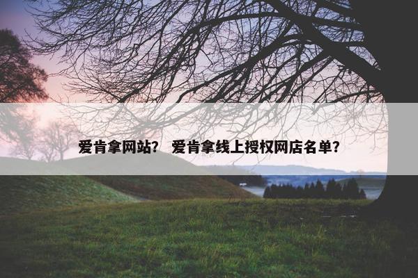 爱肯拿网站？ 爱肯拿线上授权网店名单？