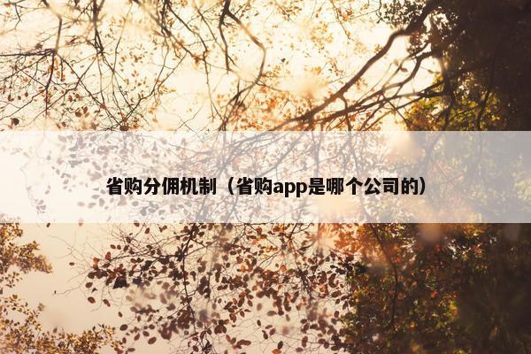 省购分佣机制（省购app是哪个公司的）