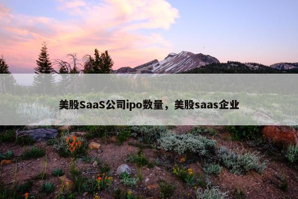 美股SaaS公司ipo数量，美股saas企业