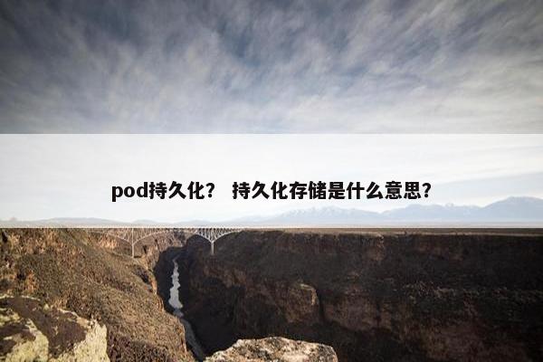 pod持久化？ 持久化存储是什么意思？