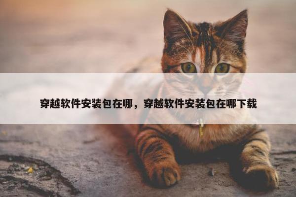 穿越软件安装包在哪，穿越软件安装包在哪下载
