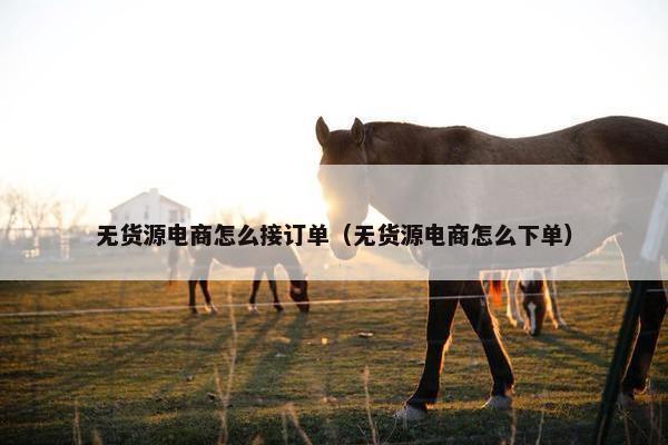 无货源电商怎么接订单（无货源电商怎么下单）