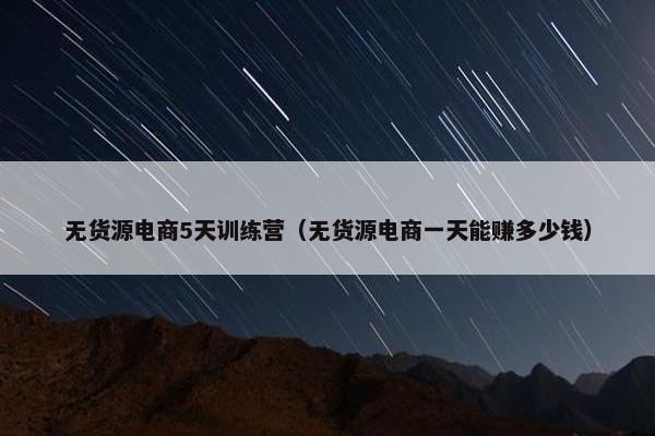 无货源电商5天训练营（无货源电商一天能赚多少钱）