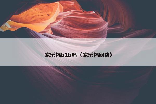 家乐福b2b吗（家乐福网店）