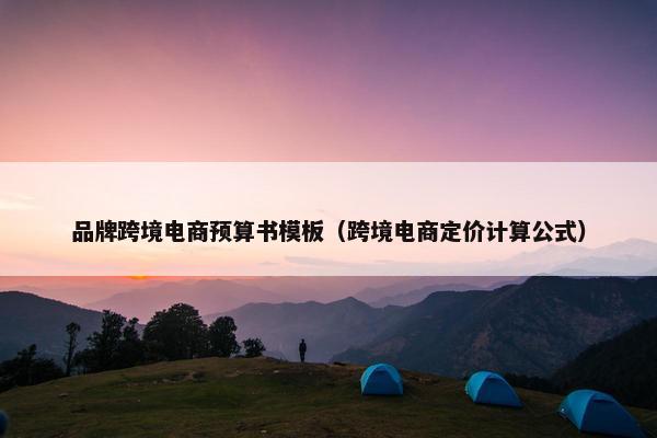 品牌跨境电商预算书模板（跨境电商定价计算公式）