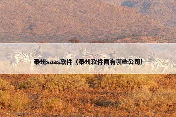 泰州saas软件（泰州软件园有哪些公司）