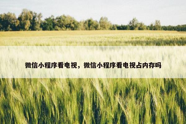 微信小程序看电视，微信小程序看电视占内存吗