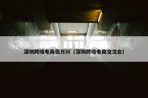 深圳跨境电商张万兴（深圳跨境电商交流会）
