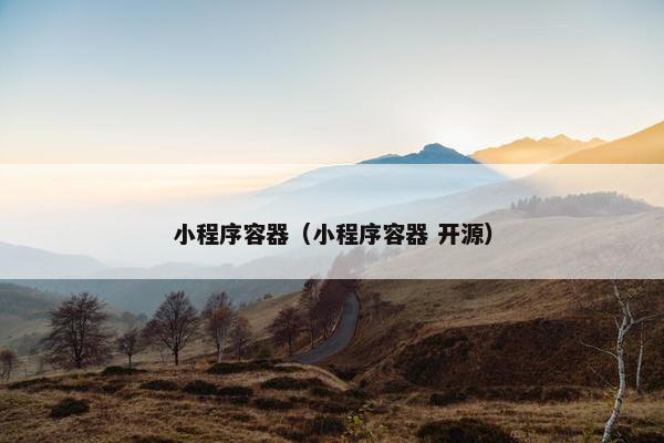 小程序容器（小程序容器 开源）