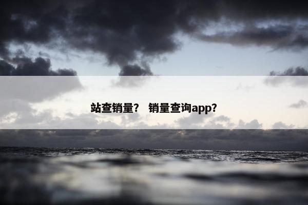 站查销量？ 销量查询app？