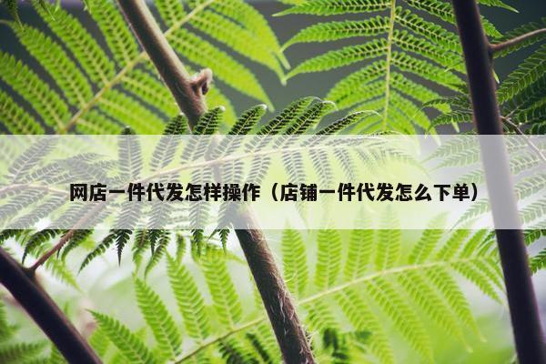 网店一件代发怎样操作（店铺一件代发怎么下单）