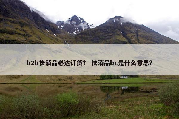 b2b快消品必达订货？ 快消品bc是什么意思？