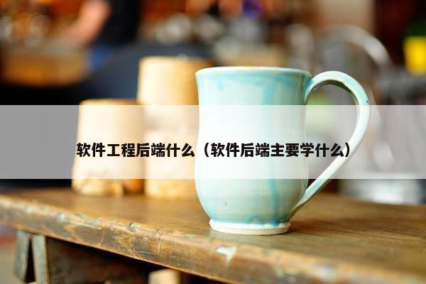 软件工程后端什么（软件后端主要学什么）