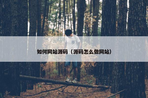如何网站源码（源码怎么做网站）