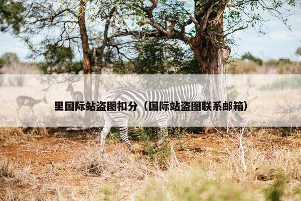 里国际站盗图扣分（国际站盗图联系邮箱）