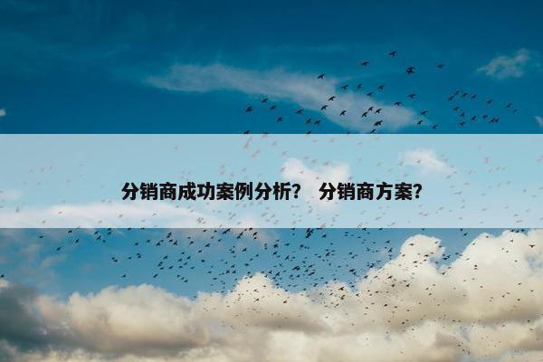 分销商成功案例分析？ 分销商方案？