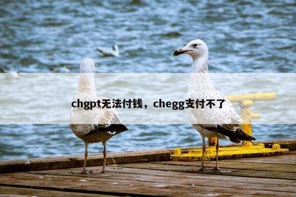 chgpt无法付钱，chegg支付不了