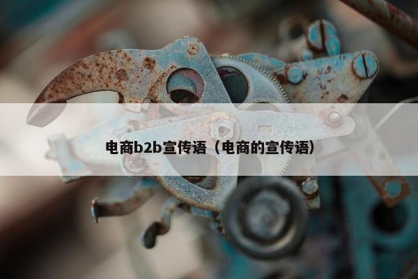电商b2b宣传语（电商的宣传语）