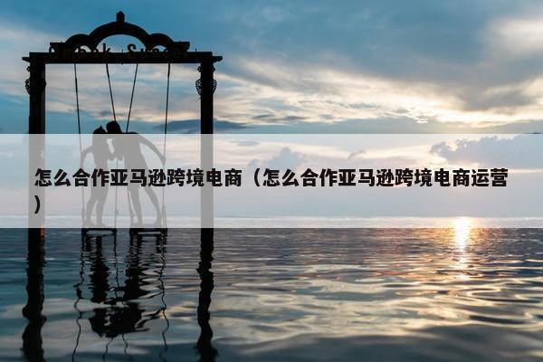 怎么合作亚马逊跨境电商（怎么合作亚马逊跨境电商运营）