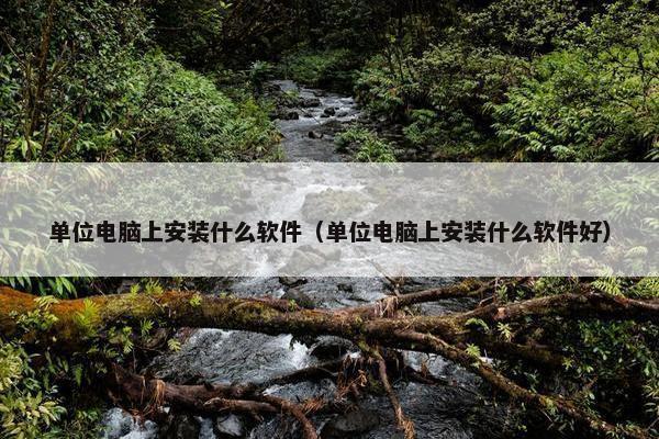 单位电脑上安装什么软件（单位电脑上安装什么软件好）