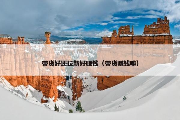 带货好还拉新好赚钱（带货赚钱嘛）