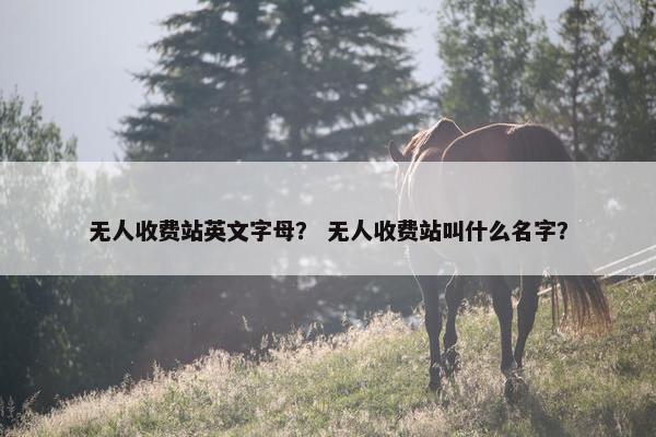 无人收费站英文字母？ 无人收费站叫什么名字？